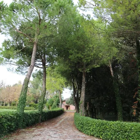 Manetta * Recanati